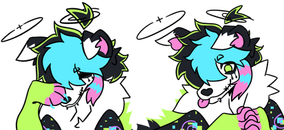 double headshot flat example